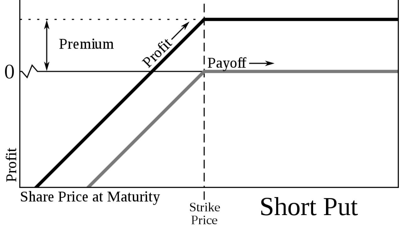 What Is Put Statement In Sas