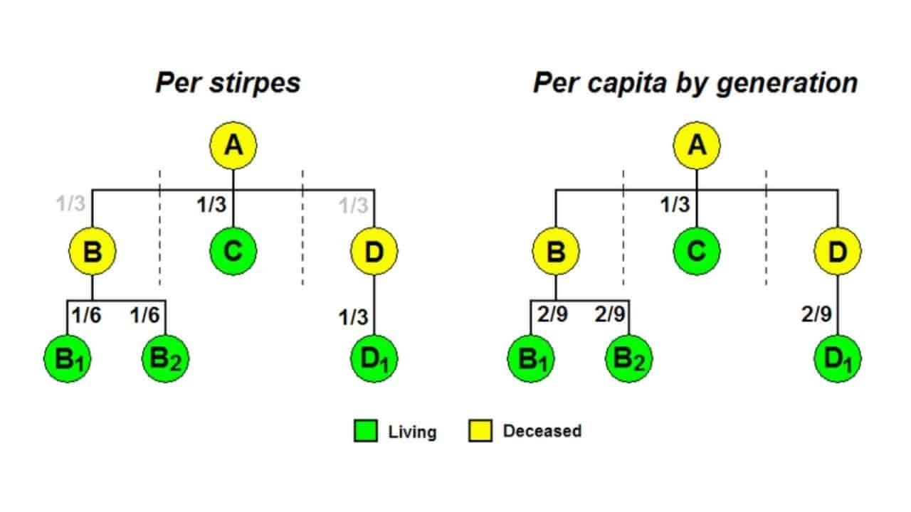 What Does Per Capita Distribution Mean