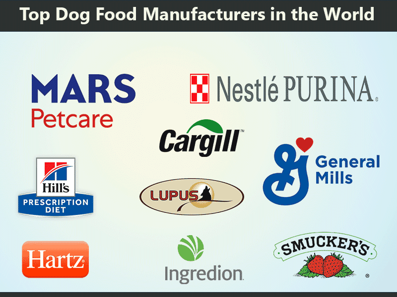 PET FOOD BRANDS TOP MOST POPULAR PET FOOD COMPANIES GMU Consults